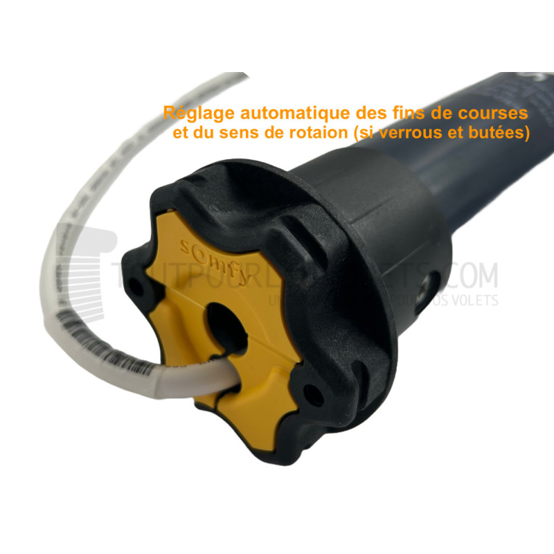 Somfy RS100 iO 6/17