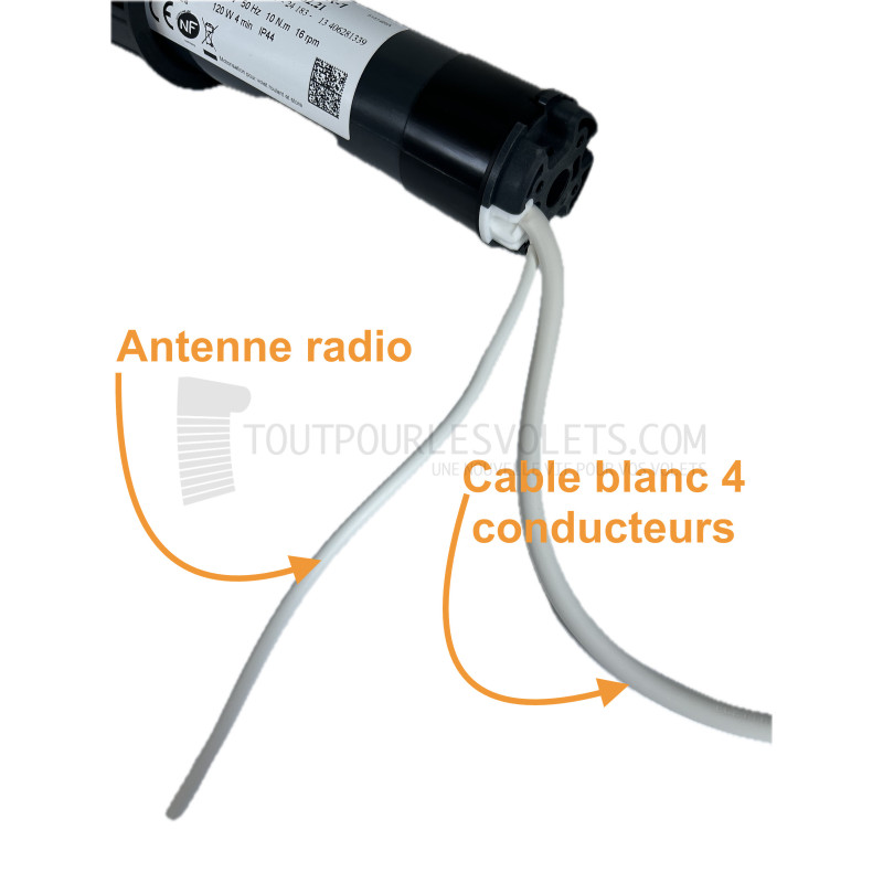 Franciasoft Well'com radio X3D ou X2D 35 Nm - ZF64
