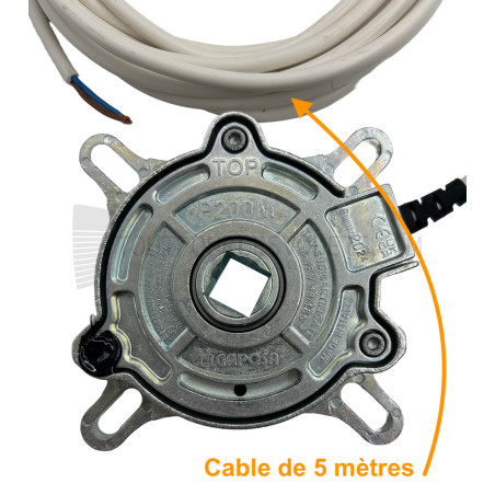 Antichute Gaposa P200 pour porte de garage 137 Nm