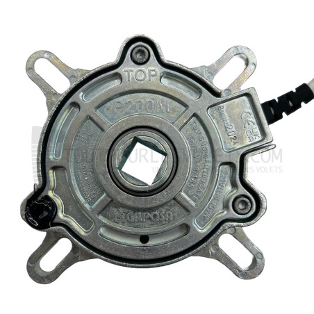 Antichute Gaposa P200 pour porte de garage 137 Nm
