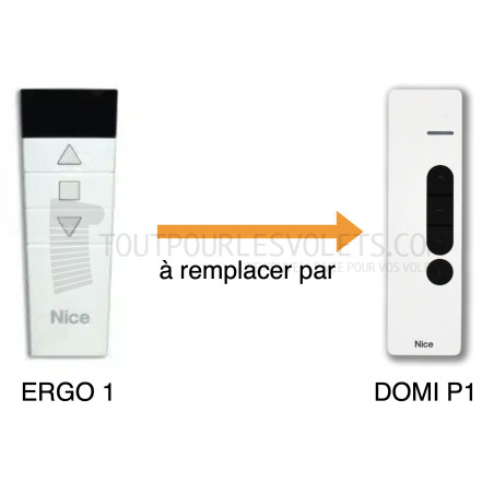 Nice Télécommande Domi P1 - 1 canal - Blanc